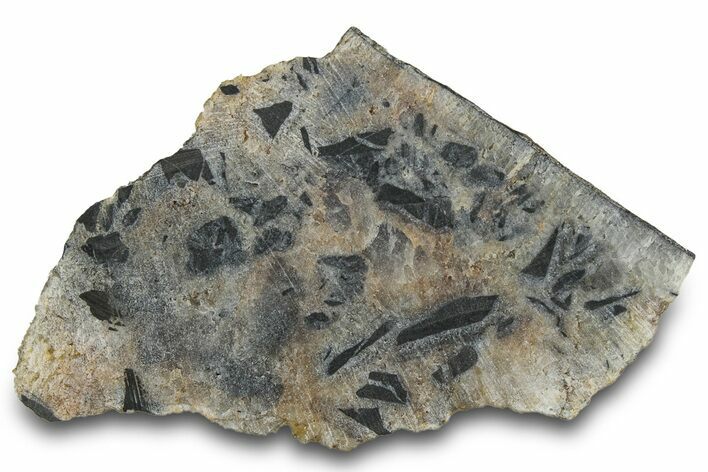 Midcontinent Rift Section - Ontario, Canada #300050